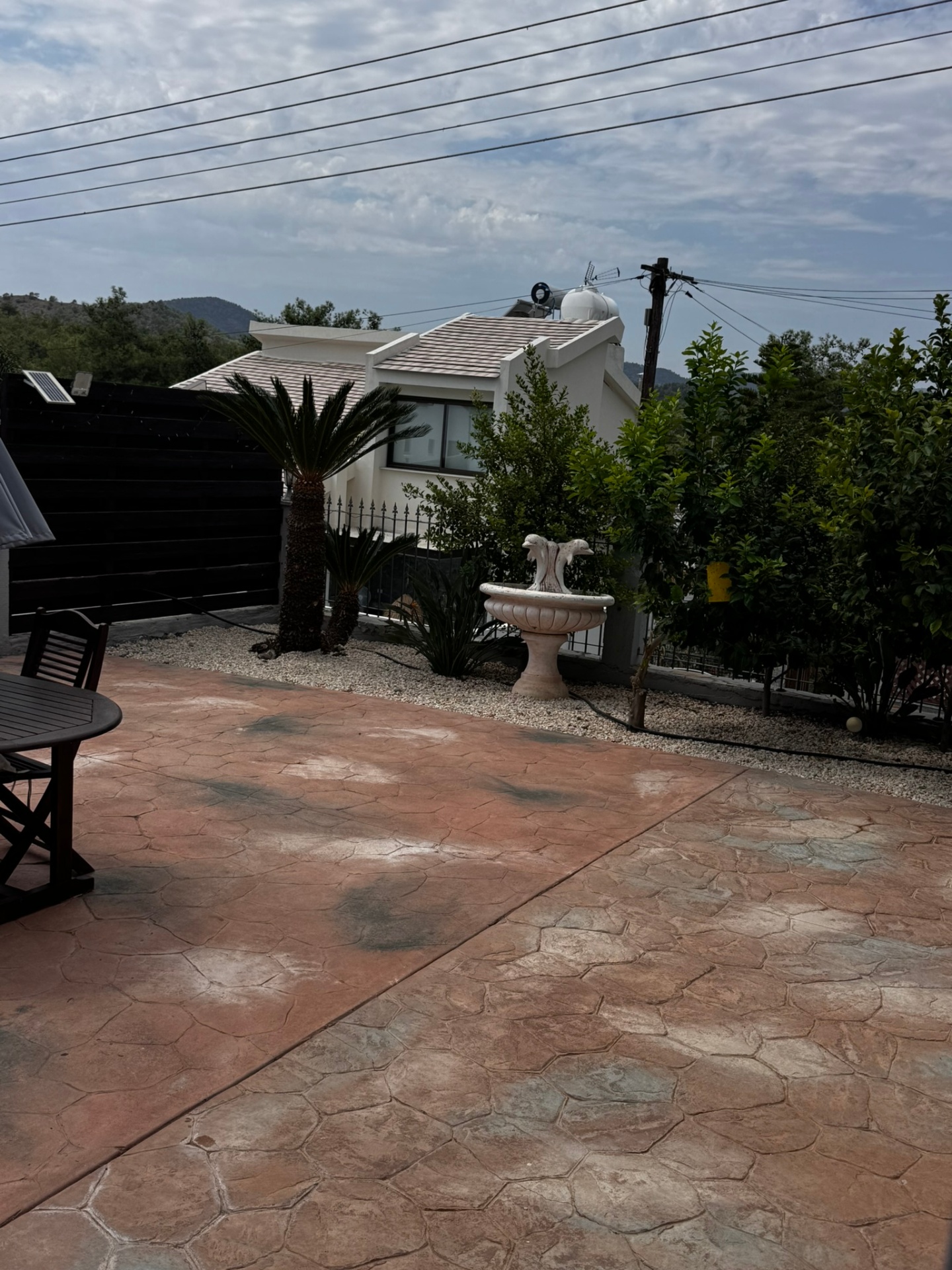 IMG_3409.JPEG